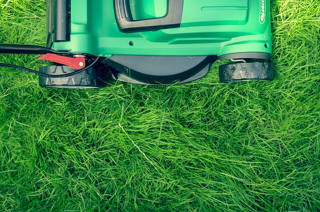 Best Electric Lawn Mowers: Cut Lawns and Costs With Battery-Powered Mowers