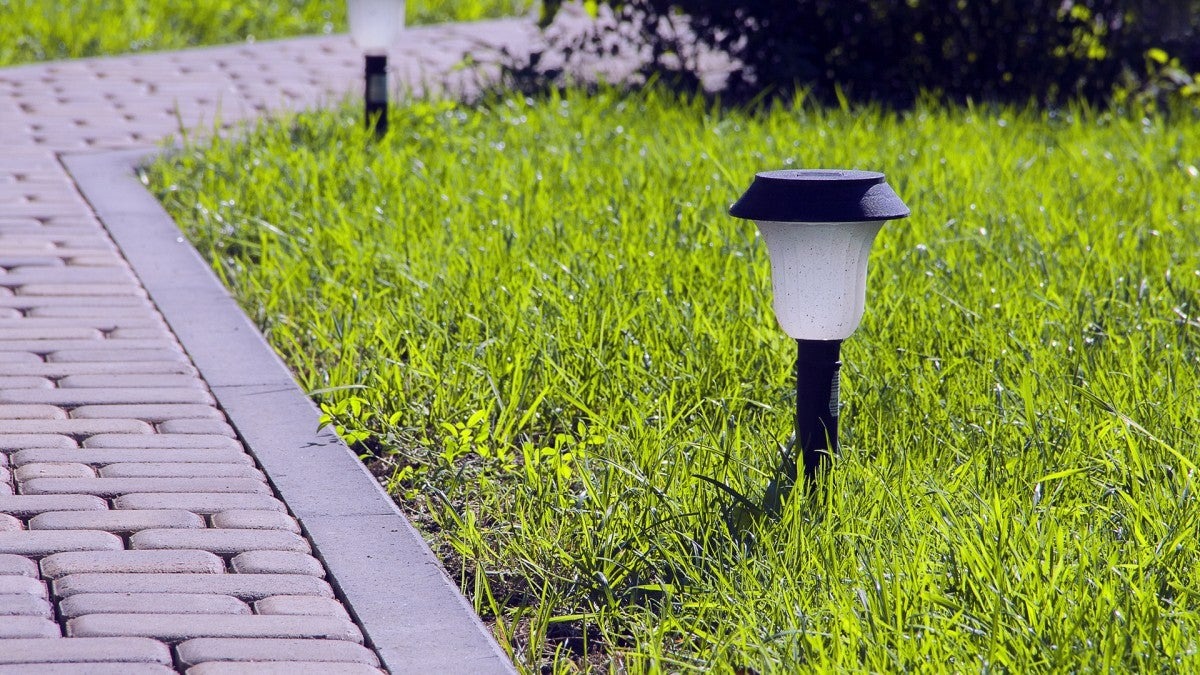 Solar powered lawn light sticking out of the grass