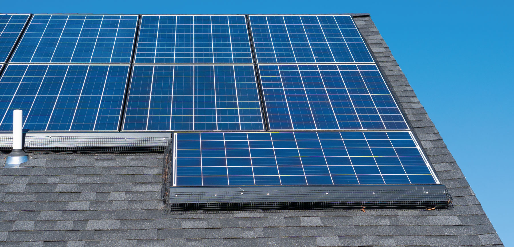 What are solar critter guards - and do you need them?