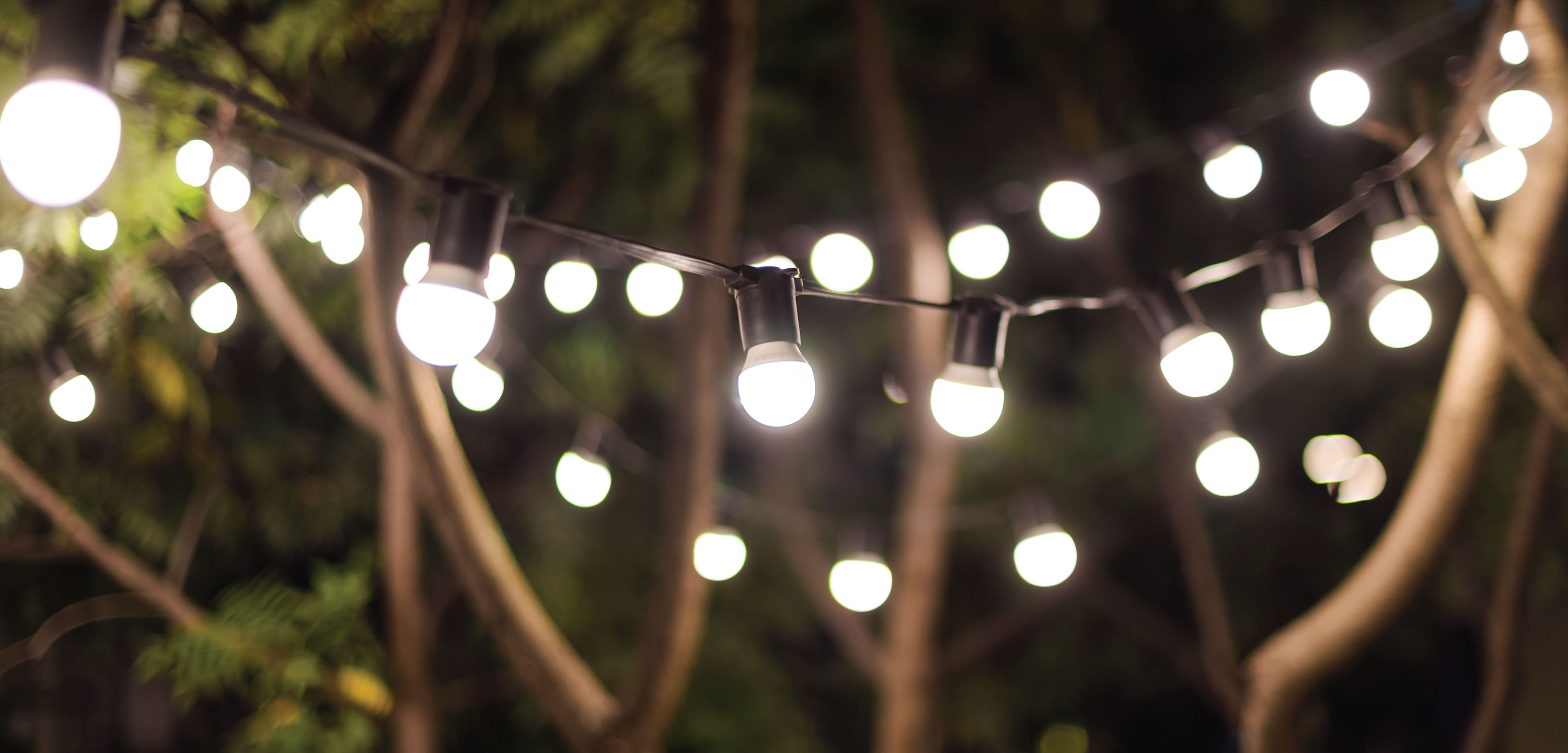 The 5 Best Solar String Lights Reviewed (2025)