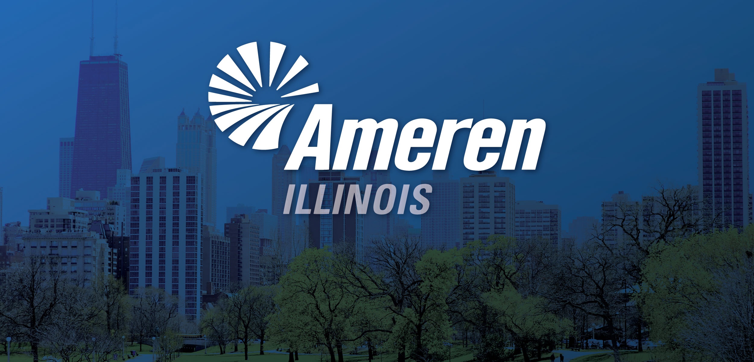 Going solar with Ameren Illinois: Lower your electric bill (2025)